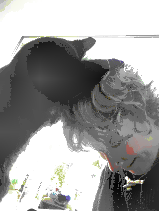 black and white cat stood up with his paws in my hair