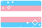 transgender flag
