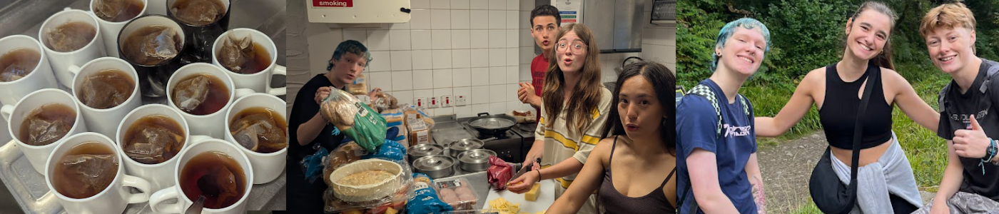 13 cups of tea, 4 friends in a kitchen, 3 friends in the countryside