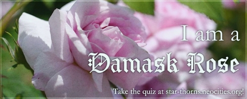 I'm a damask rose, click to take the quiz