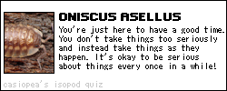I'm an oniscus asellus, click to take the quiz