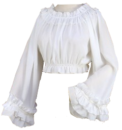 cropped long sleeve white chiffon top